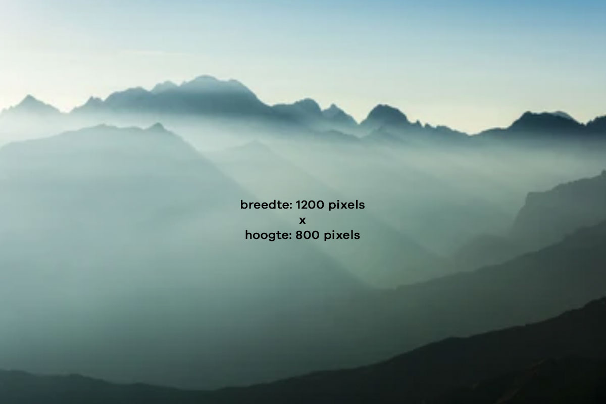 voorbeeld-afbeelding